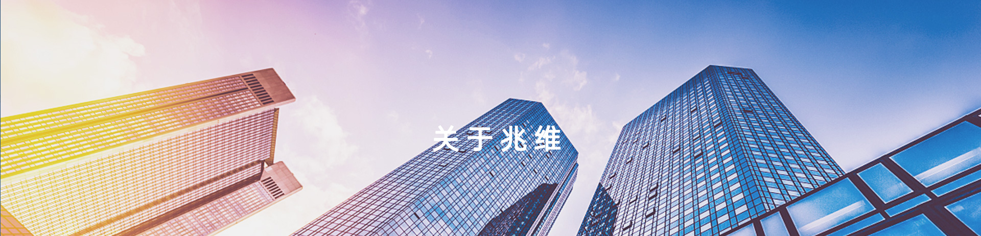 ��ϵ���ֲ�